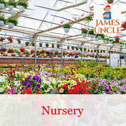 Nursery Mr. Anupam Bahari in Khanjanchak